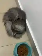 Video by @eboggar1 with original sound