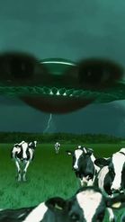 Preview for a Spotlight video that uses the Cows and Aliens Lens