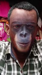 Preview for a Spotlight video that uses the orangutan Lens