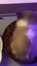 Video by @rs4_6h with Original Sound by rs4_6h