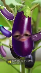 Preview for a Spotlight video that uses the Eggplant Face Lens