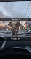 Preview for a Spotlight video that uses the the-elephant Lens