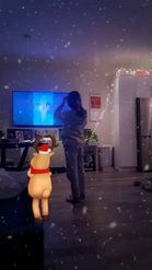 Preview for a Spotlight video that uses the Dancing  Deer Lens