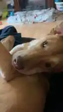 Sunny☀️💅 by @alison.rossum with original sound