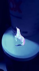 Preview for a Spotlight video that uses the Flowers Unicorn Lens