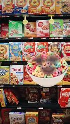 Preview for a Spotlight video that uses the fruit cereal Lens