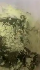 Video by @semsemallc25 with original sound
