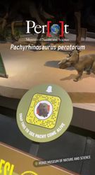 Preview for a Spotlight video that uses the Pachyrhinosaurus Lens