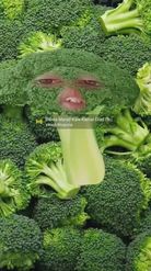 Preview for a Spotlight video that uses the single broccoli Lens