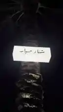 كنافة - صبار - 🌵 by @vg.lens with original sound
