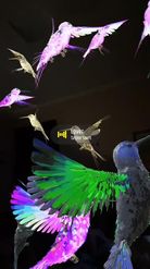 Preview for a Spotlight video that uses the Infinity Birds Lens