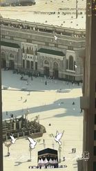Preview for a Spotlight video that uses the HAJJ Lens