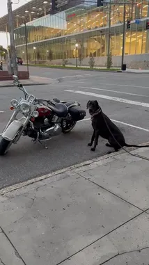 Lorelei Finds (@lorelei.finds) Snapchat Stories, Spotlight & Lenses