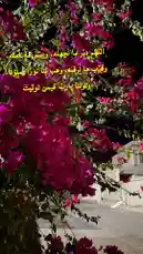 Video by @ghs-rhf with original sound