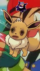 Preview for a Spotlight video that uses the eevee pokemon face Lens