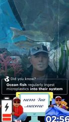 Preview for a Spotlight video that uses the Ocean Microplastic Lens
