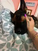 Madi Gatanis (@madigatanis18) Snapchat Stories, Spotlight & Lenses