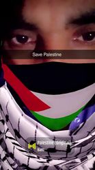 Preview for a Spotlight video that uses the Palestine Lens