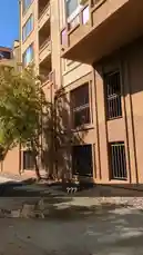 Video by @sheeptester with sheeptester by Original Sound