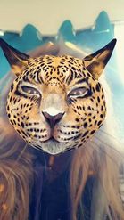 Preview for a Spotlight video that uses the Leopard Head Lens