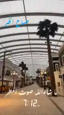 Experience a serene stroll through the elegant, palm-lined walkway of Artal Fashion's indoor shopping destination. The modern glass canopy and classic lampposts create a sophisticated atmosphere perfect for a relaxing day of shopping. by @artal.street with artal.street by Original Sound