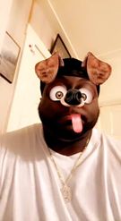Preview for a Spotlight video that uses the Crazy Dog Lens