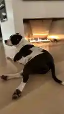 Briana Armbruster (@theskimaskgirl) | Snapchat Stories, Spotlight & Lenses