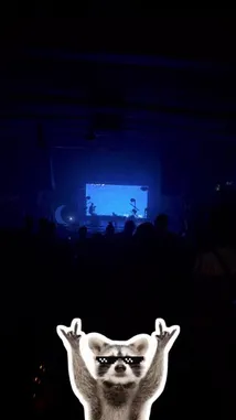 Video by @squashha with squashha by Original Sound