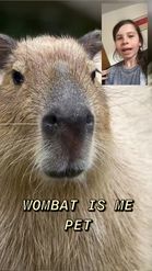 Preview for a Spotlight video that uses the Capybara Facetime Lens