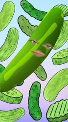Preview for a Spotlight video that uses the Pickle Face Lens