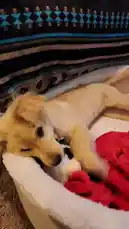 Alyssa Capps (@acappsofficial) | Snapchat Stories, Spotlight & Lenses