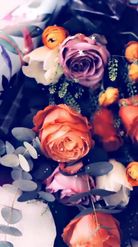 Preview for a Spotlight video that uses the Flowers Lens
