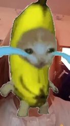 Preview for a Spotlight video that uses the Crying banana cat Lens