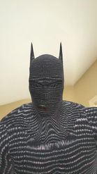 Preview for a Spotlight video that uses the Batman in Fabric Lens