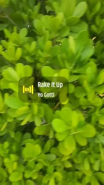 Kiarapeach (@kiara.peachy) | Snapchat Stories, Spotlight & Lenses