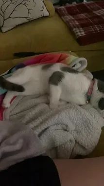 Video by @lizettelizette with lizettelizette by Original Sound