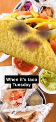 Preview for a Spotlight video that uses the Taco Lens