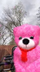 Preview for a Spotlight video that uses the Teddy Bear Lens