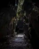 Video by @daisy.mae21 with original sound