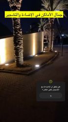 Preview for a Spotlight video that uses the مشتل الأغصان الخضراء Lens