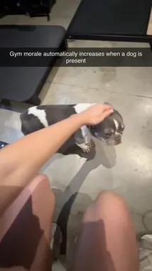 Catlin Hill (@catlin.hill) Snapchat Stories, Spotlight & Lenses