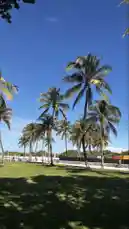 Video by @amunmoon_299 with original sound