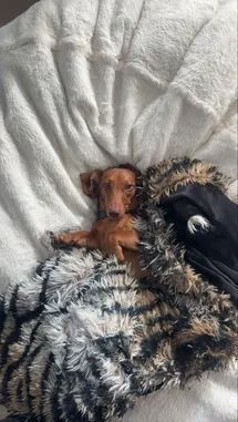 Lanah Cherry (@reallanahcherry) | Snapchat Stories, Spotlight & Lenses