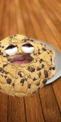 Preview for a Spotlight video that uses the Choc Chip Cookie Lens