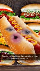 Preview for a Spotlight video that uses the Hotdog Lens