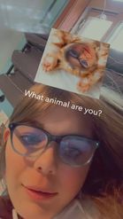 Preview for a Spotlight video that uses the What animal are you? Lens
