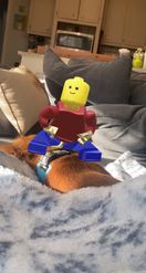 Preview for a Spotlight video that uses the Lego Twerking Lens