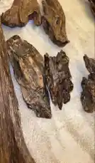 Video by @nawader.aloud44 with original sound