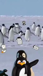 Preview for a Spotlight video that uses the this is penguin Lens