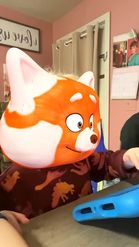 Preview for a Spotlight video that uses the Turning Red Panda Lens